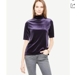 Ann Taylor Loft Elbow Sleeve Velvet Mock Neck